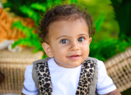 Smash the Cake Arthur