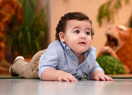 01 Ano Antonio