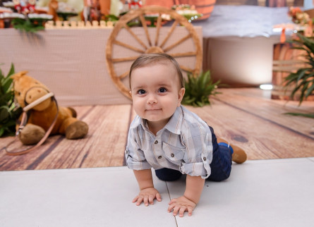 01 Ano Bernardo